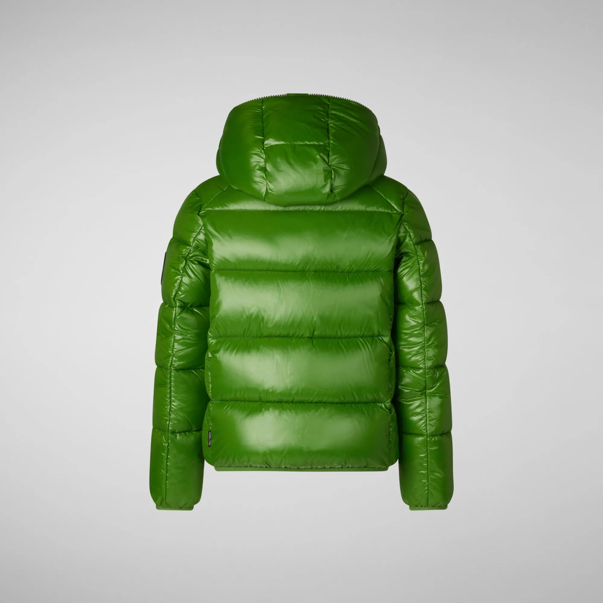 Save The Duck Animal-Free Steppjacken>Animal-free Jungen-steppjacke Artie In Grass Green Grasgrün